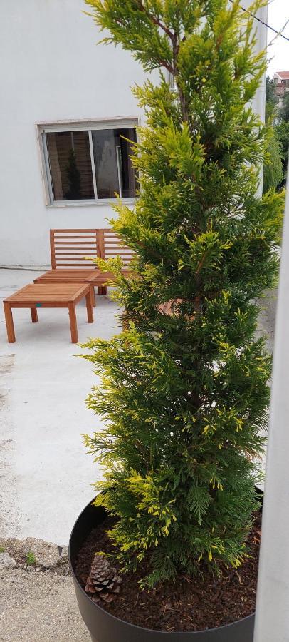 Apartamento Lideal Coímbra Exterior foto